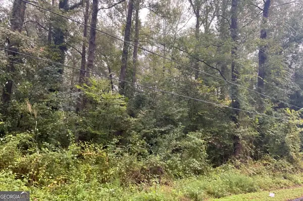 116 Tasha Road, Ivey, GA 31031