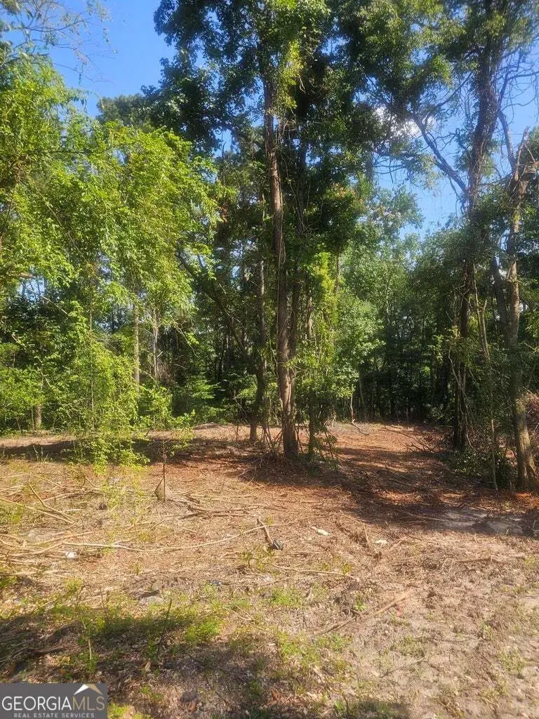 470 Forrest Drive, Louisville, GA 30434 - Image #3