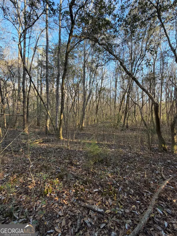 13990 Ga Highway 27, Lumpkin, GA 31815