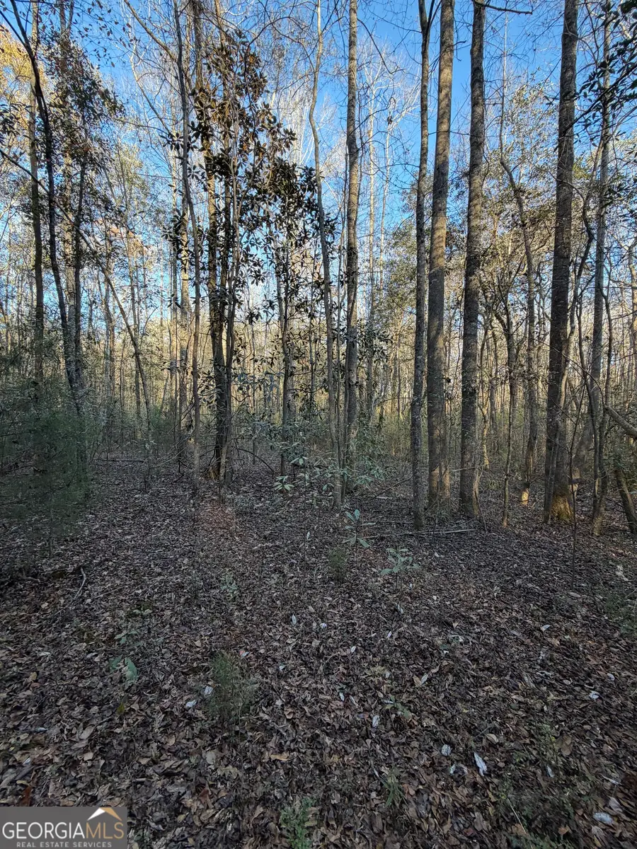 13990 Ga Highway 27, Lumpkin, GA 31815 - Image #2