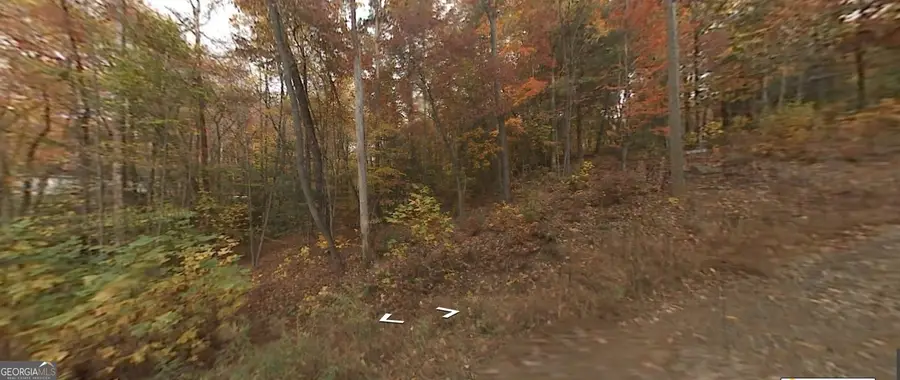 0 Holly Lane #2, Ellijay, GA 30540 - Image #2