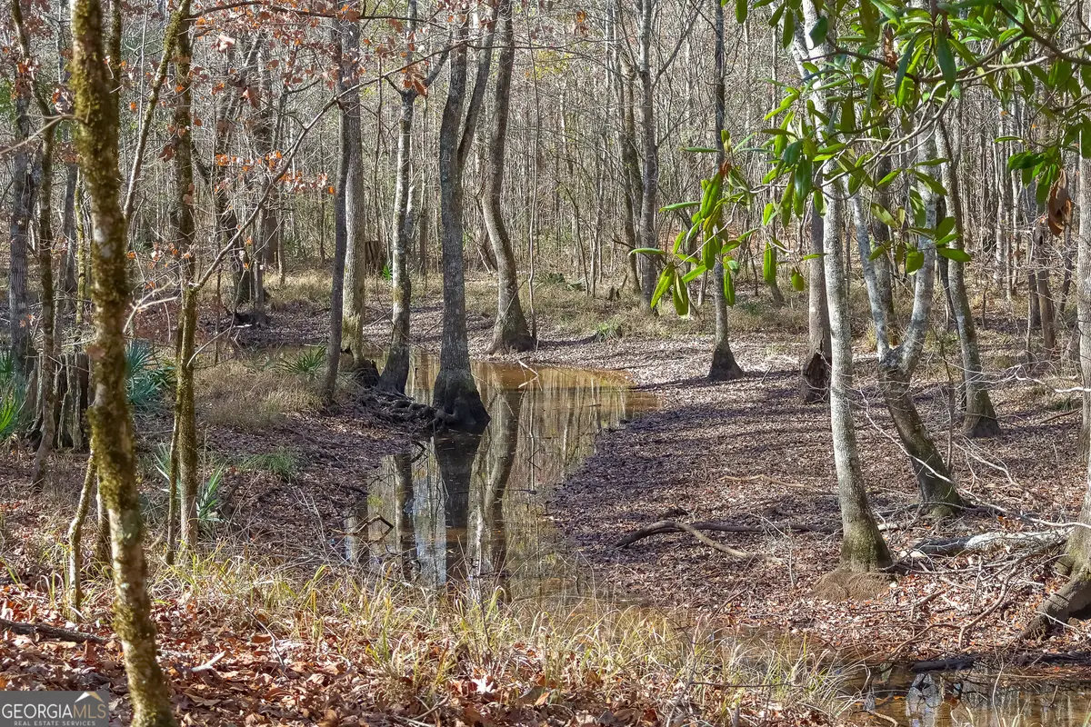 0 Limestone Road, Cochran, GA 31014 - Image #1