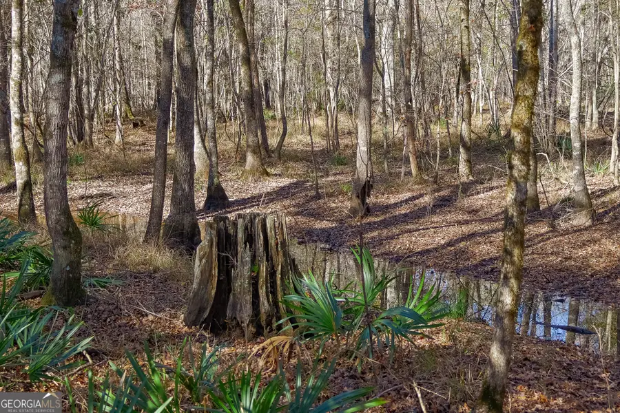 0 Limestone Road, Cochran, GA 31014 - Image #2