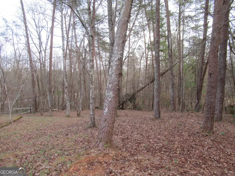 61 Berry Patch Lane, Cleveland, GA 30528 - Image #2