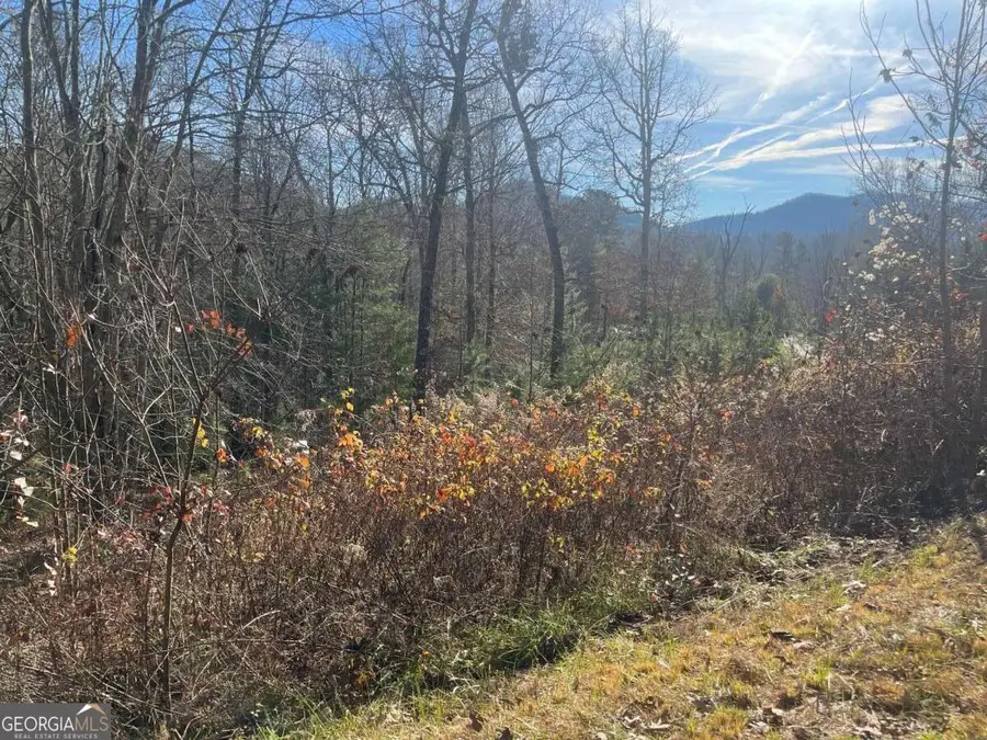LOT 8 Moore Acres, Hayesville, NC 28904 - Image #2