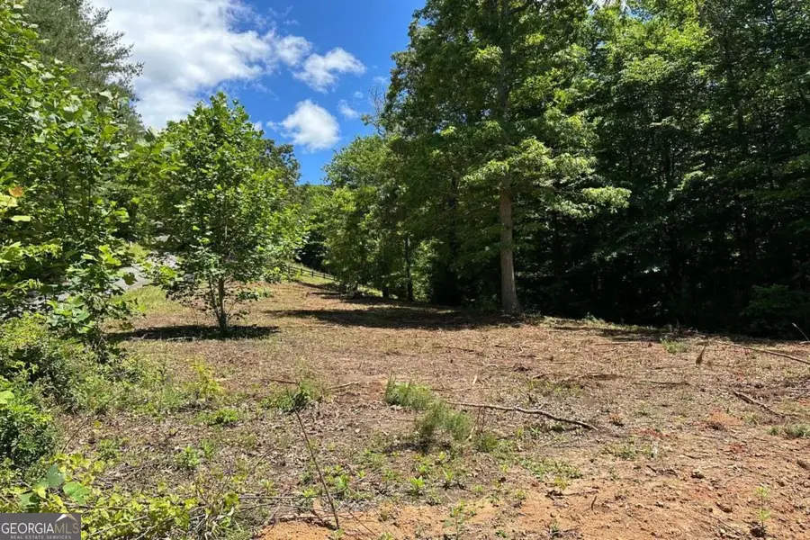 LOT 8 Moore Acres, Hayesville, NC 28904 - Image #3