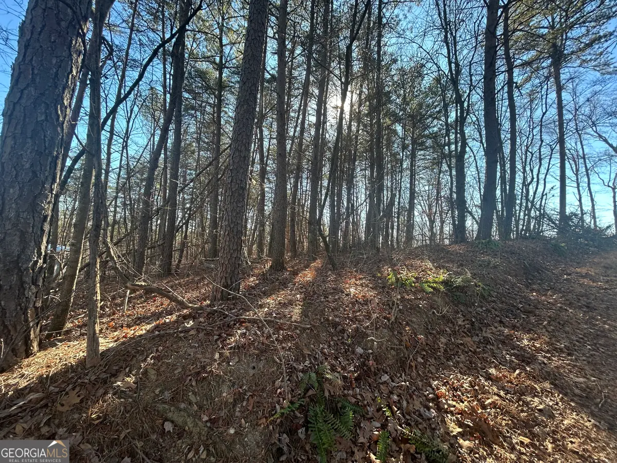 0 Highland Tree Court, Ranger, GA 30734 - Image #1