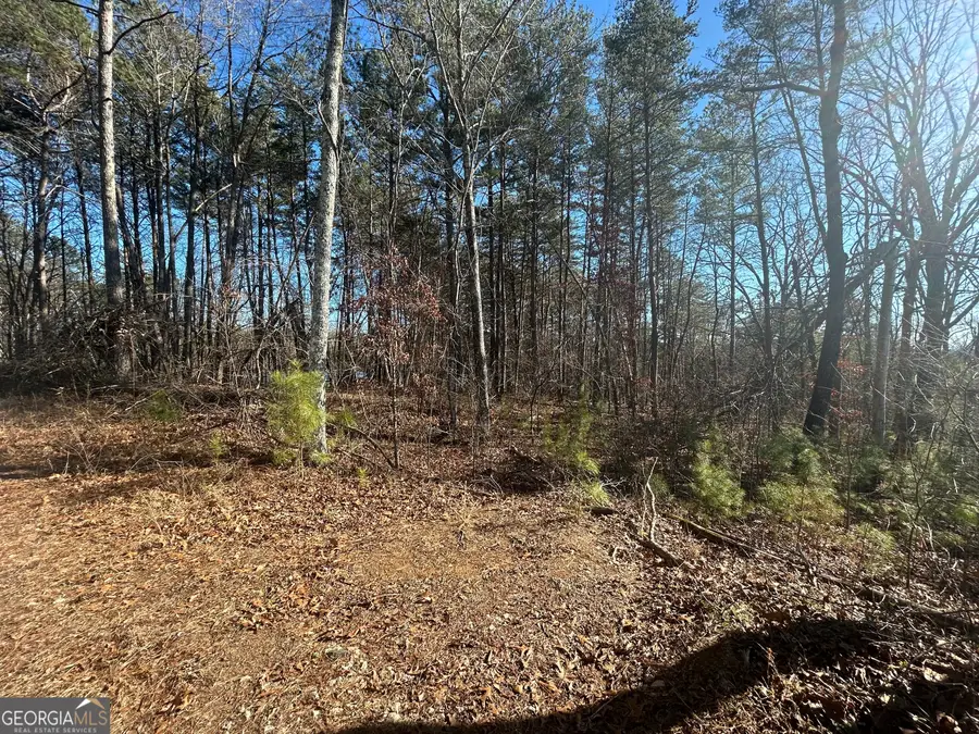 0 Highland Tree Court, Ranger, GA 30734 - Image #2