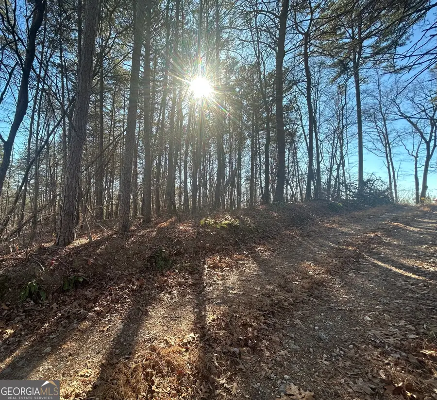 0 Highland Tree Court, Ranger, GA 30734 - Image #3