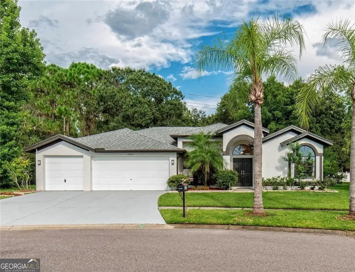 10006 Vista Pointe Drive, Tampa, FL 33635 - Image #1