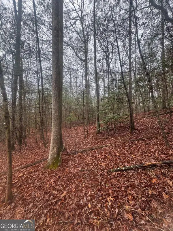 0 Mountaintown Trail, Ellijay, GA 30540