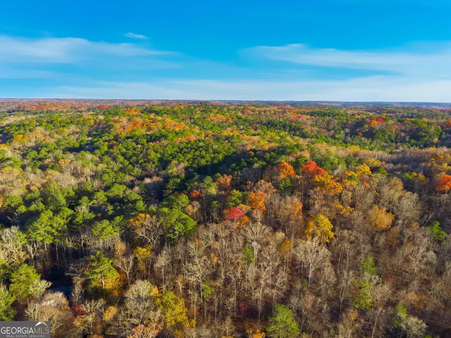 10220 Rivertown Road, Fairburn, GA 30213 - Image #2