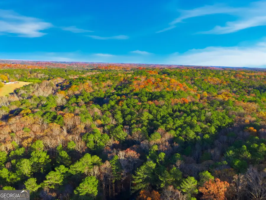 10220 Rivertown Road, Fairburn, GA 30213 - Image #3