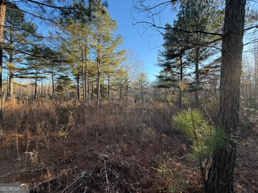 0 Oliver Road, Barnesville, GA 30204 - Image #2