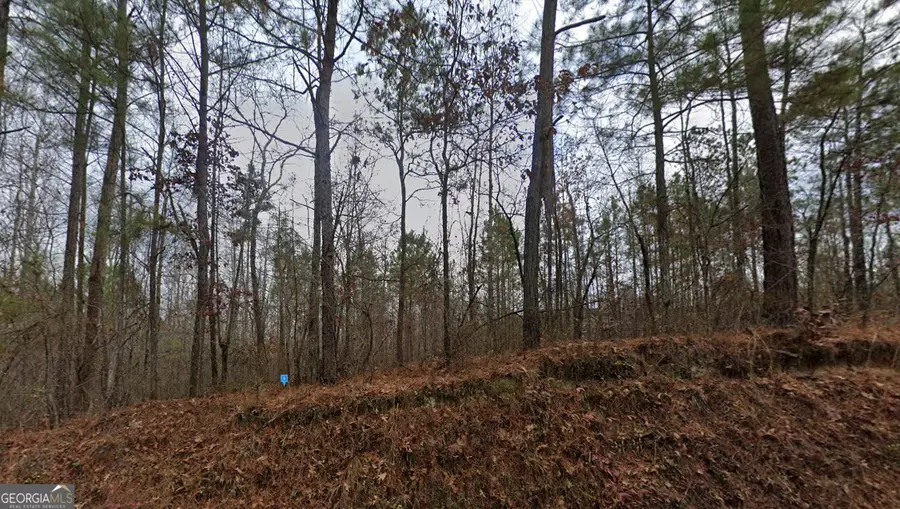 7720 Tyree Rd, Winston, GA 30187 - Image #2