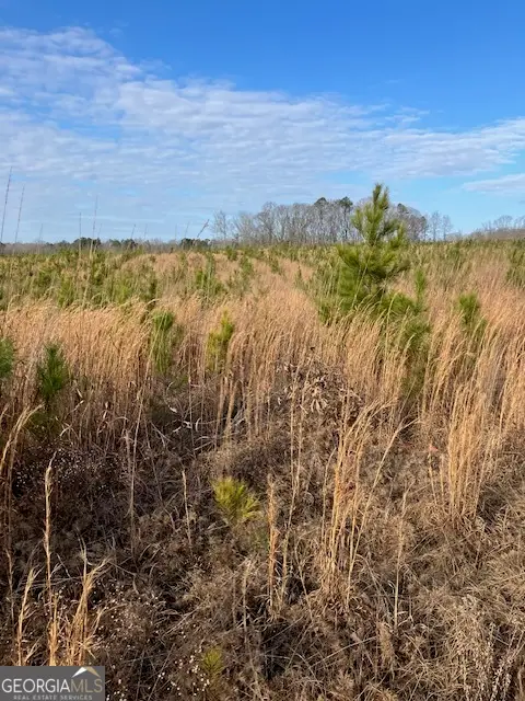 310 Philomath Woodville Road, Rayle, GA 30660 - Image #3