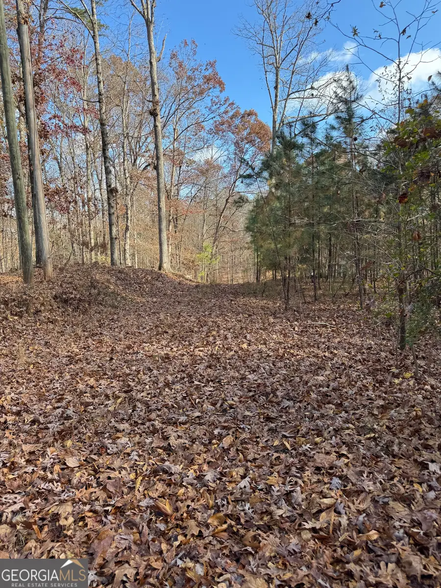 857 Laurel Lane, Winder, GA 30680 - #2