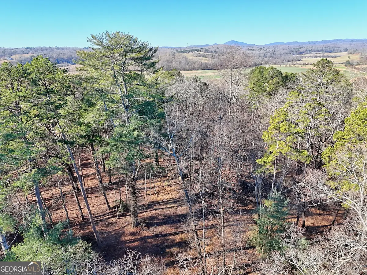 #3 Annandale Drive, Clarkesville, GA 30523 - #1