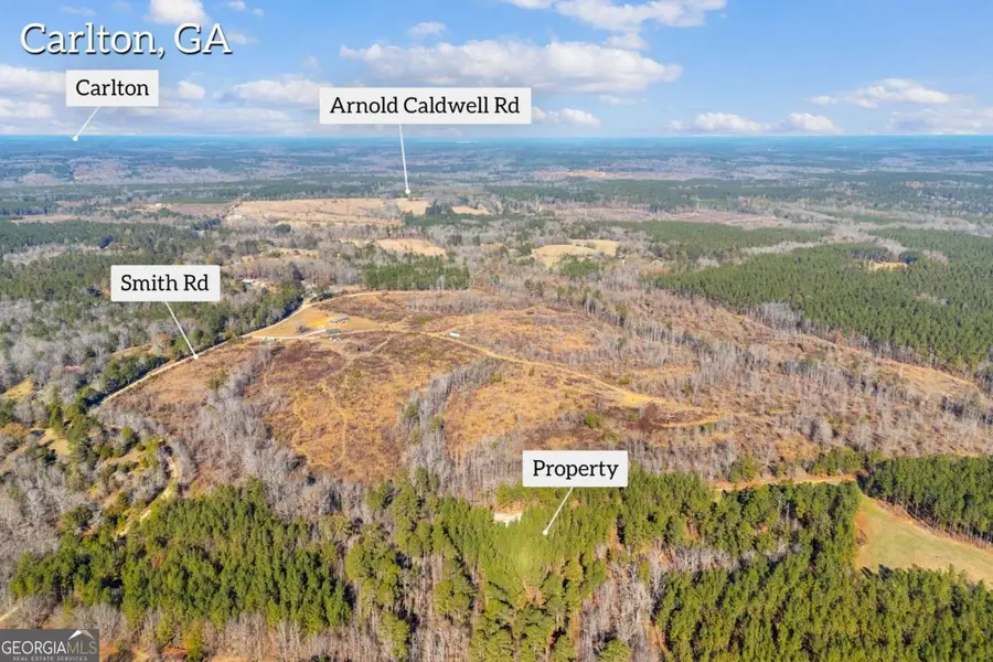 0 Smith Road, Carlton, GA 30627 - Image #3