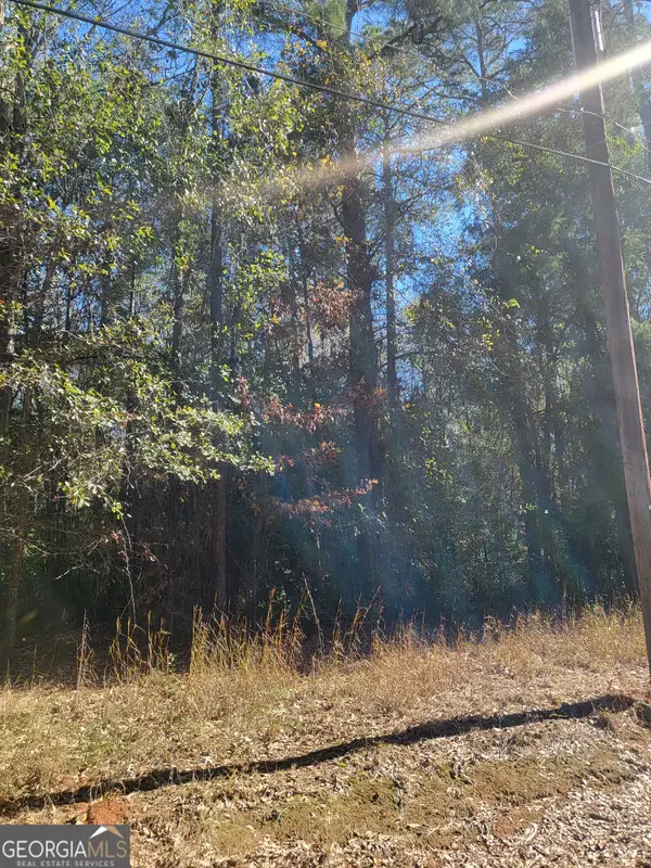 0 Lumpkin Street, Albany, GA 31705