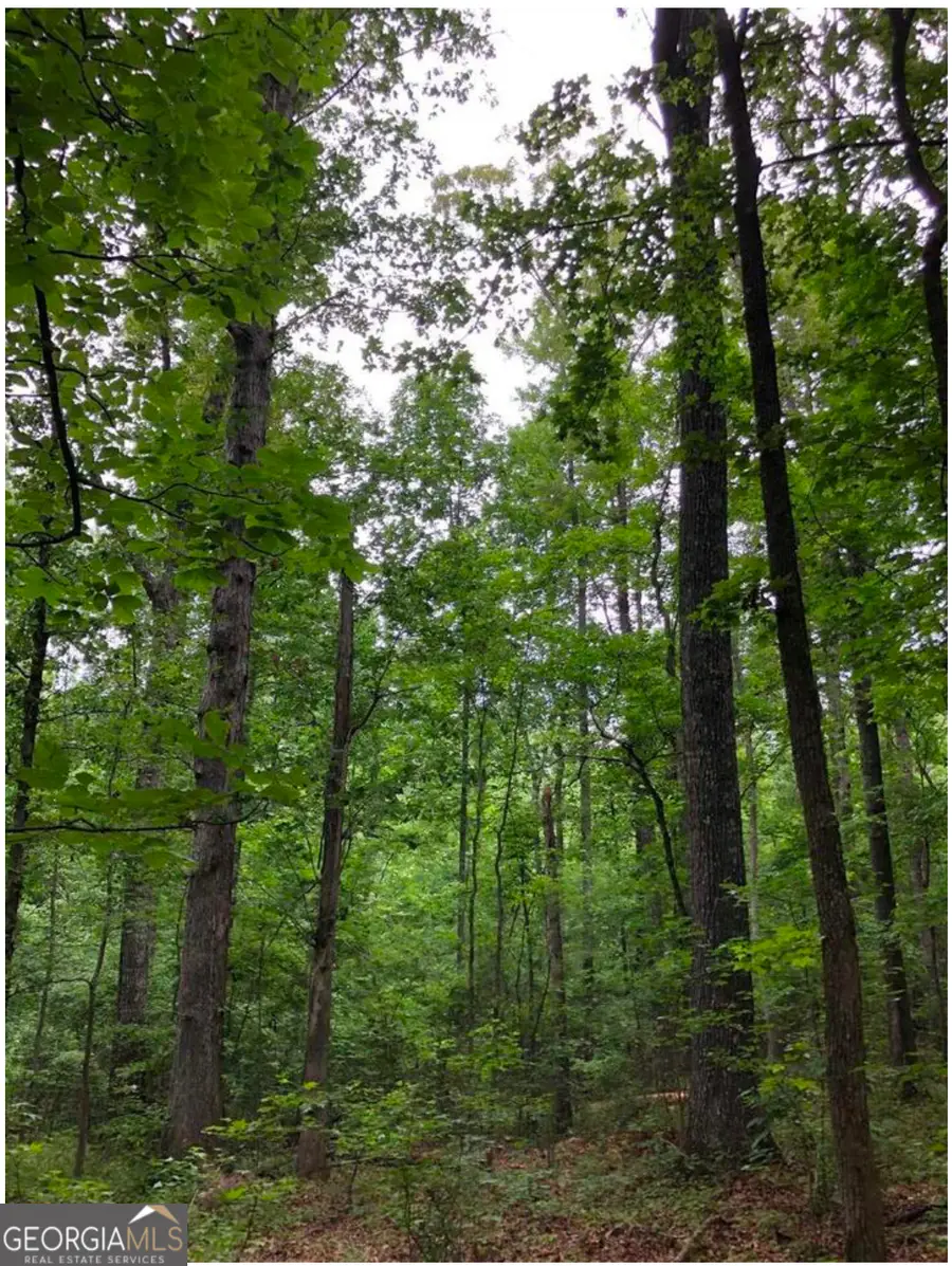 0 Hall Road #TRACT 1, South Fulton, GA 30213 - Image #3