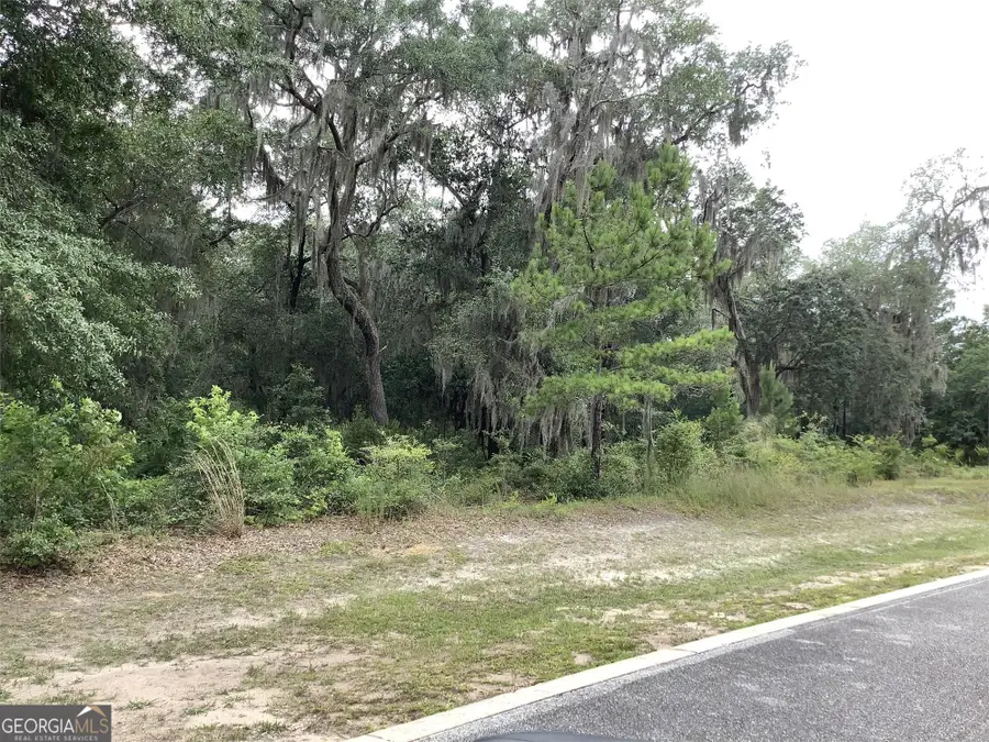 116 Annapolis Drive, Waverly, GA 31565 - Image #2