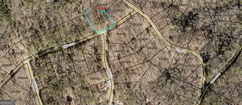 236 Pinnacle Dr (lt#236), Ellijay, GA 30540 - Image #3