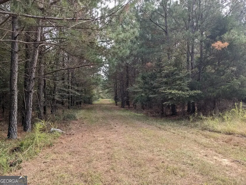 306 Bethesda Church Road, Lexington, GA 30648 - Image #2