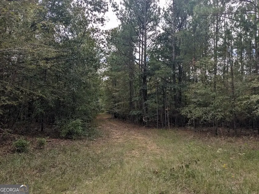 306 Bethesda Church Road, Lexington, GA 30648 - Image #3