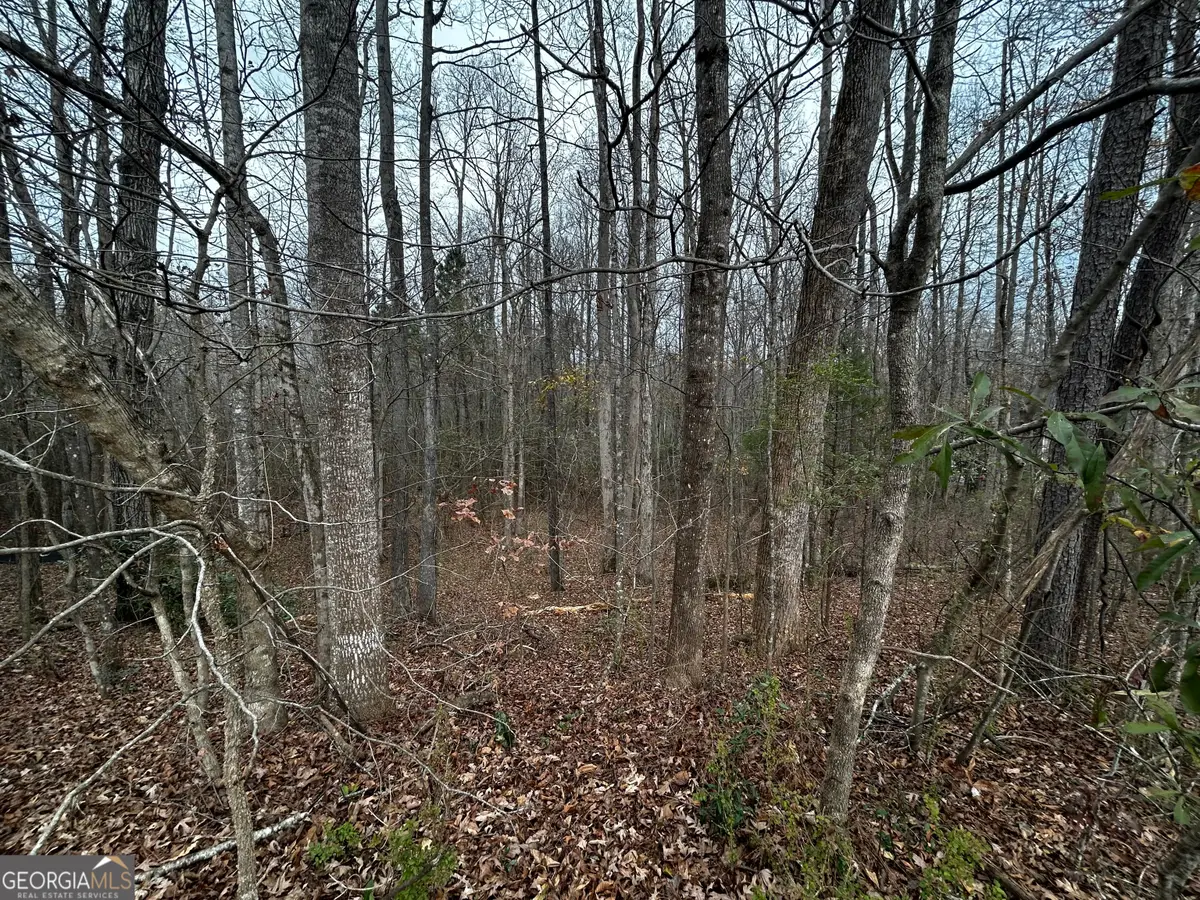 133 Four Oaks Drive, Griffin, GA 30224 - Image #1