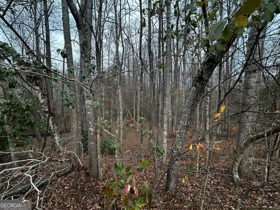 133 Four Oaks Drive, Griffin, GA 30224 - Image #2