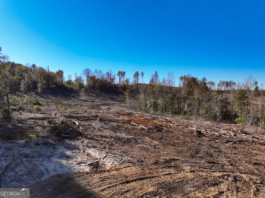 0 Long Branch Rd #LOT 7, Toomsboro, GA 31090 - Image #3