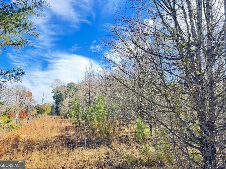 10.234 AC Harp Road, Fayetteville, GA 30215 - Image #3