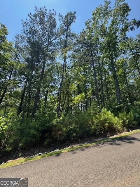 0 Carters View, Ellijay, GA 30540 - Image #1