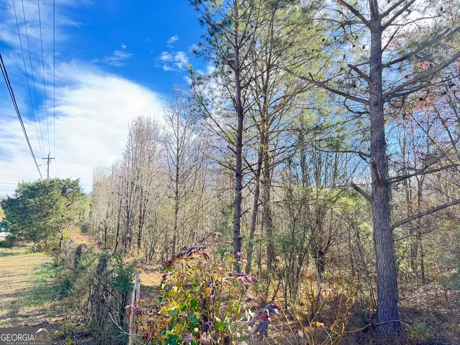 10.143 AC Harp Road, Fayetteville, GA 30215 - Image #2