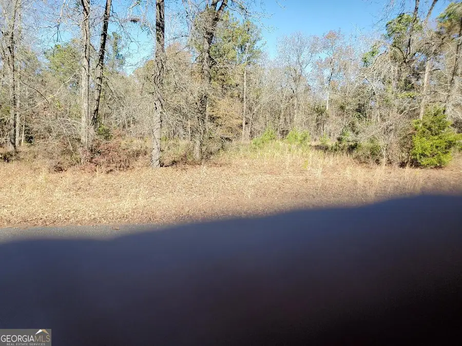 0 Tyler Ct., Fort Valley, GA 31030 - Image #3