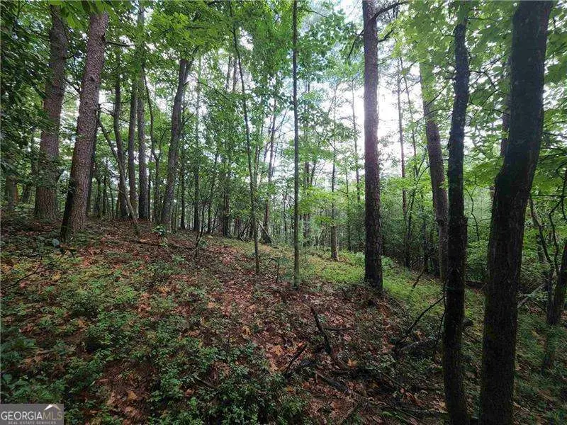 0 Rosen Strasse, Helen, GA 30545 - Image #1