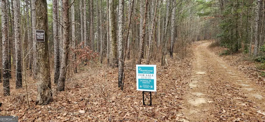 361 Vista Dell Lane, Tallulah Falls, GA 30573 - Image #3