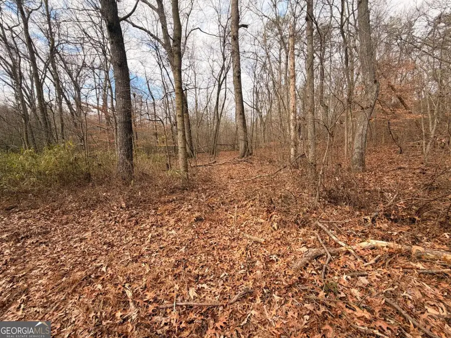 1830 Us Highway 27 N, Bremen, GA 30110 - Image #3