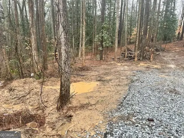 3960 Union Road Sw, South Fulton, GA 30349 - Image #3