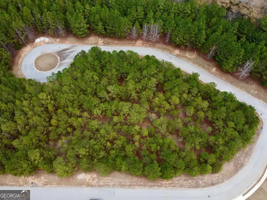 1020 Towne Circle, Social Circle, GA 30025 - #2