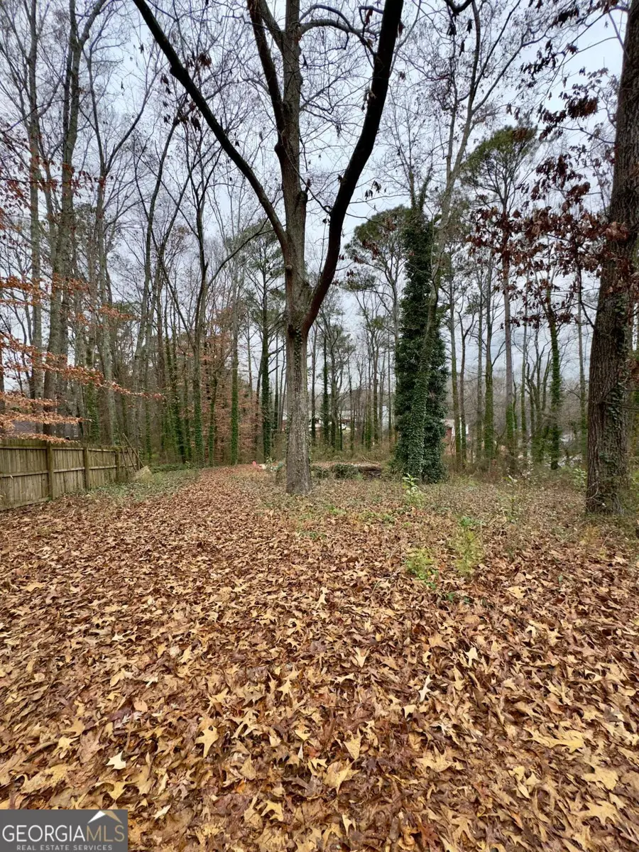 2152 Chestnut Place, Lithia Springs, GA 30122 - Image #3