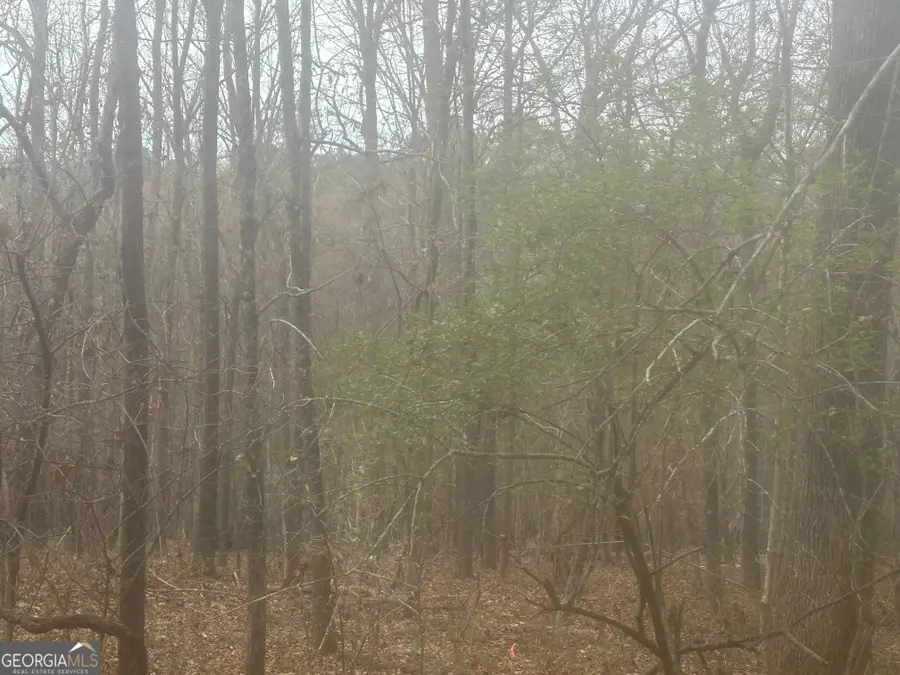 5221 Sandy Shores Court, Lithonia, GA 30038 - Image #3