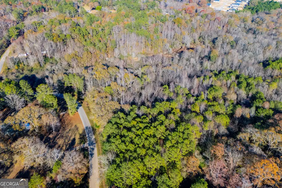 36.70 ACRES Holmes Road, Carrollton, GA 30117 - Image #2
