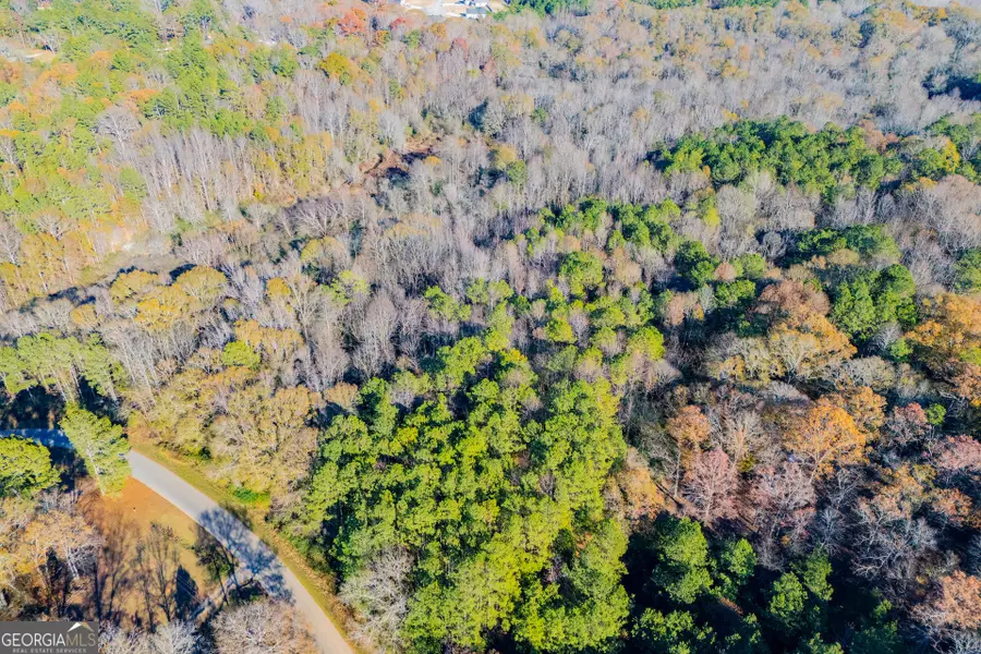 36.70 ACRES Holmes Road, Carrollton, GA 30117 - Image #3