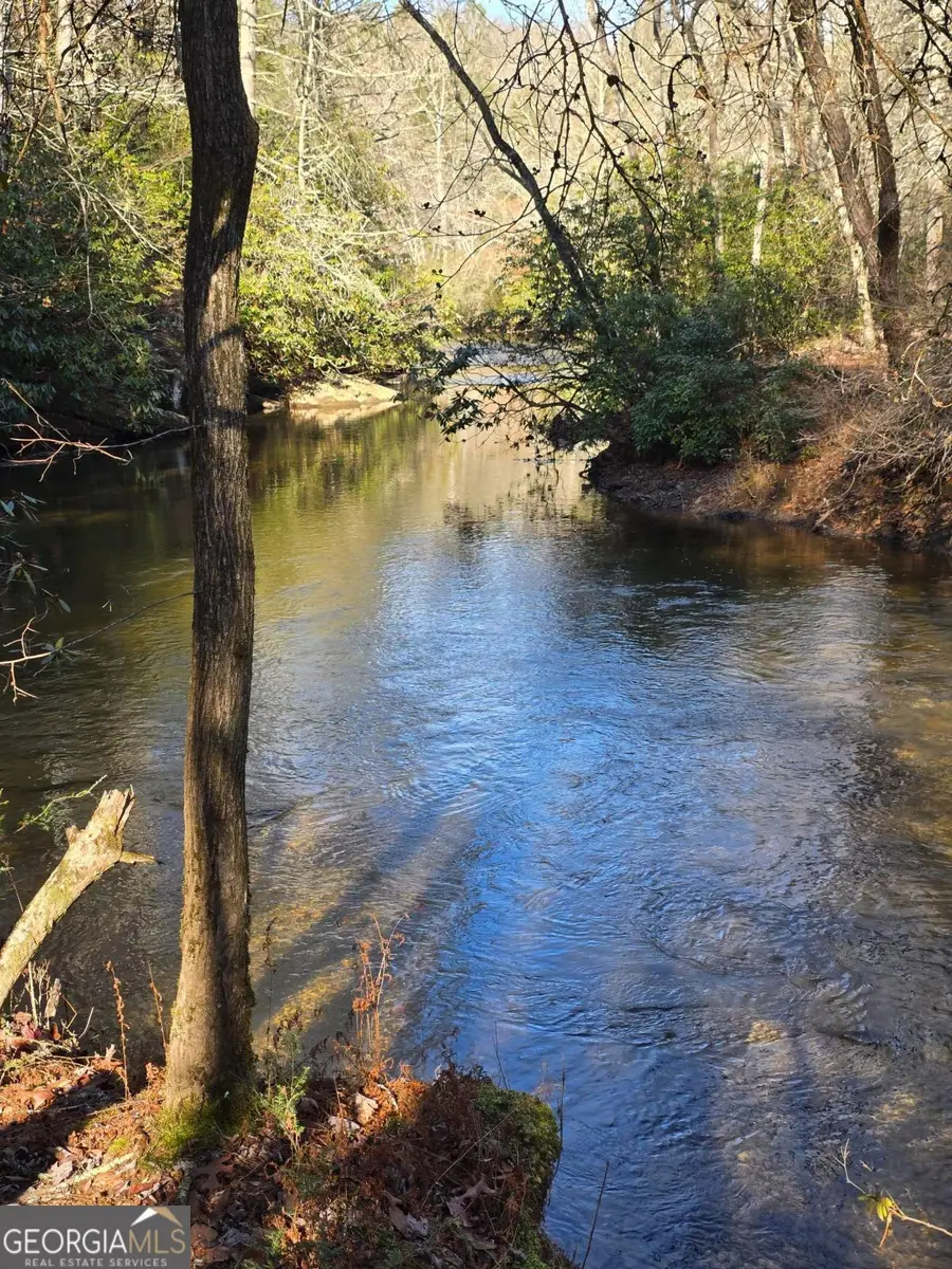 LOT 11B Spence Road, Epworth, GA 30541 - Image #2