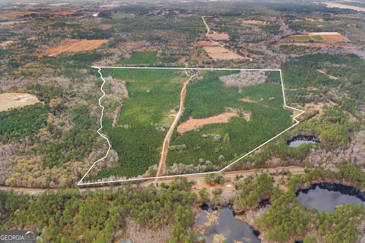 0 Jacob Wilkinson Cir, Claxton, GA 30417 - Image #1