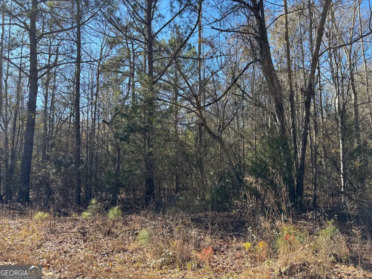 0 Lee Road 378, Valley, AL 36872 - Image #1