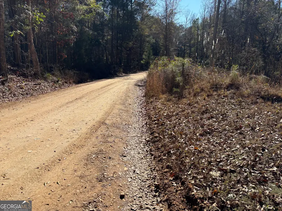 0 Lee Road 378, Valley, AL 36872 - Image #2