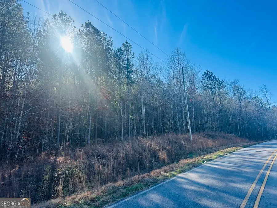 0 Bluff Springs Road, Ashland, AL 36251 - Image #3